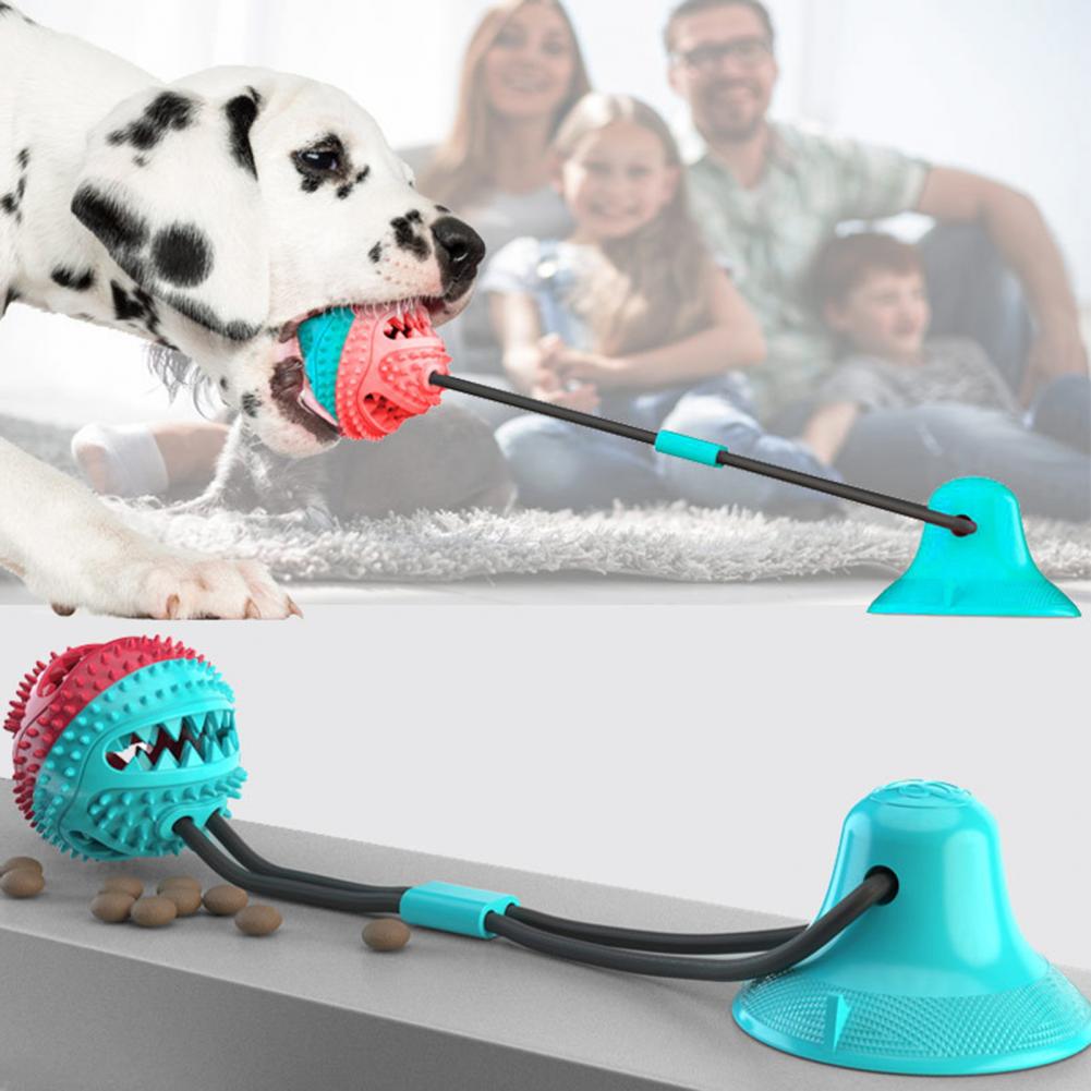 Jouets à mâcher pour chiens, p - Rubber Treat Dispensing Dog Toy avis et prix