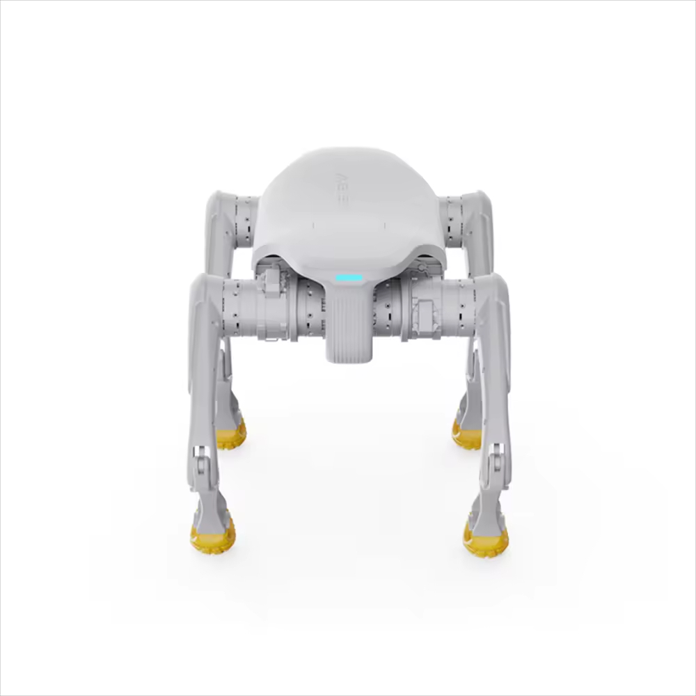 Robot pour chien de conception - Dog Toys avis et prix