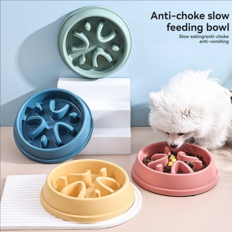 Fournitures pour animaux de co - Dog Puzzle Feeder Toy avis et prix