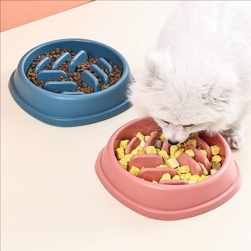 Fournitures pour animaux de co - Dog Puzzle Feeder Toy avis et prix