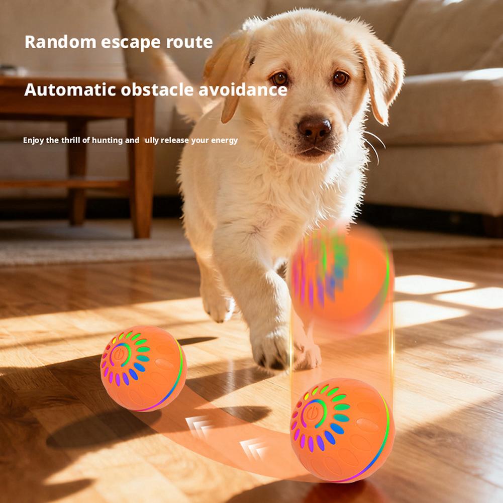 Balle de jeu intelligente pour - Automatic Moving Dog Ball avis et prix