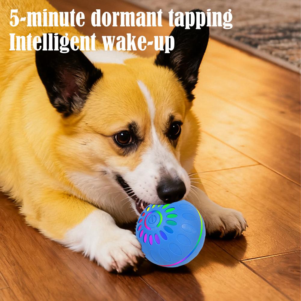 Balle de jeu intelligente pour - Automatic Moving Dog Ball avis et prix
