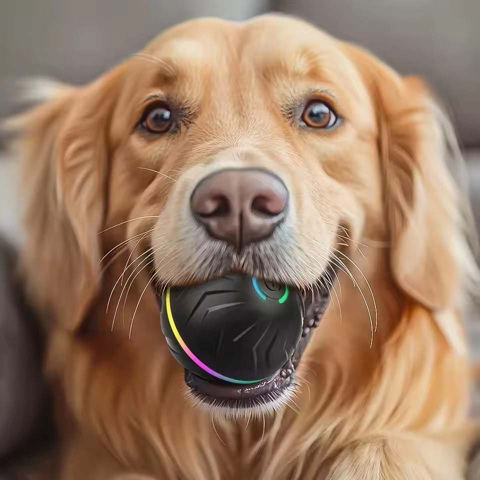 Jouets interactifs intelligent - Automatic Moving Dog Ball avis et prix
