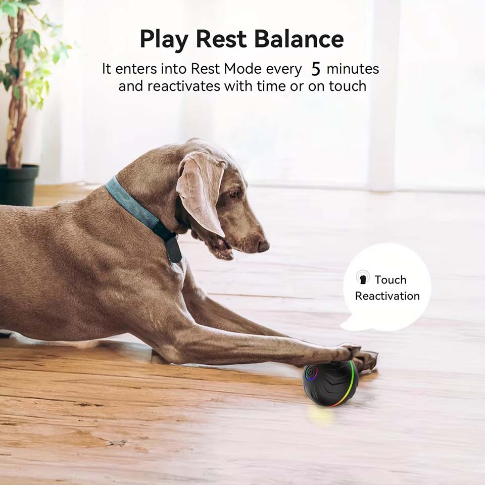 Jouets interactifs intelligent - Automatic Moving Dog Ball avis et prix