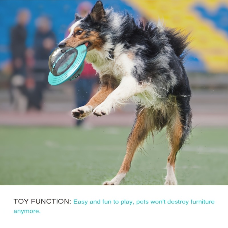 Conception interactive chien b - Dog Puzzle Feeder Toy avis et prix