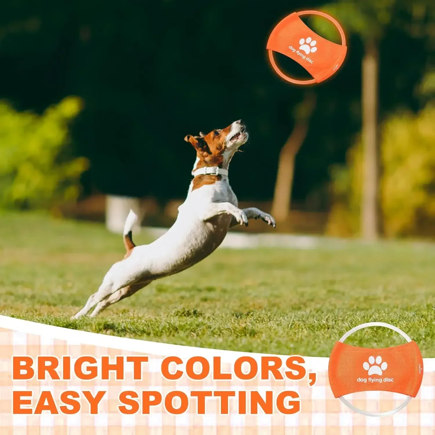 Jouet pour chien LED brillant  - Flying Disc Dog Training Toy avis et prix