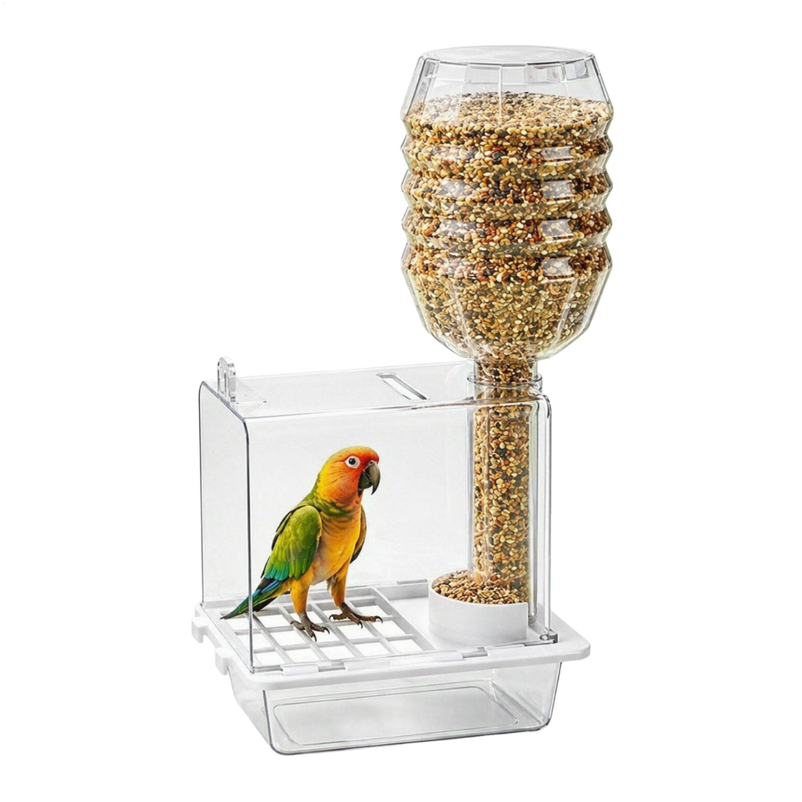 Distributeur automatique de no - Pet Feeders avis et prix