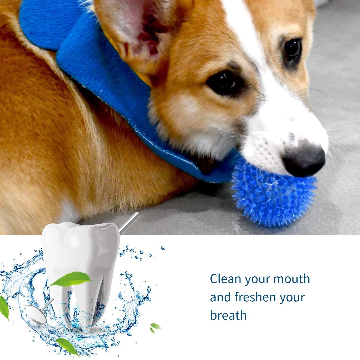 Jouets pour chiens, balle rebo - Suction Cup Dog Tug Toy avis et prix