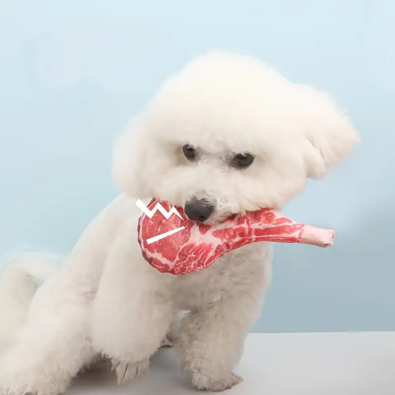 Jouet pour chien en forme de s - Teeth Cleaning Dog Chew Bone avis et prix