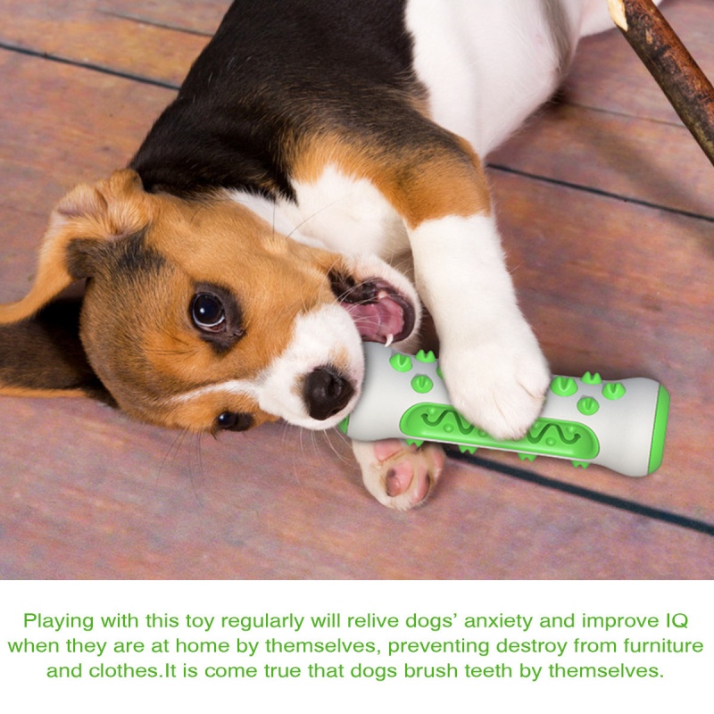 Bâton à mâcher pour chien, os  - Teeth Cleaning Dog Chew Bone avis et prix