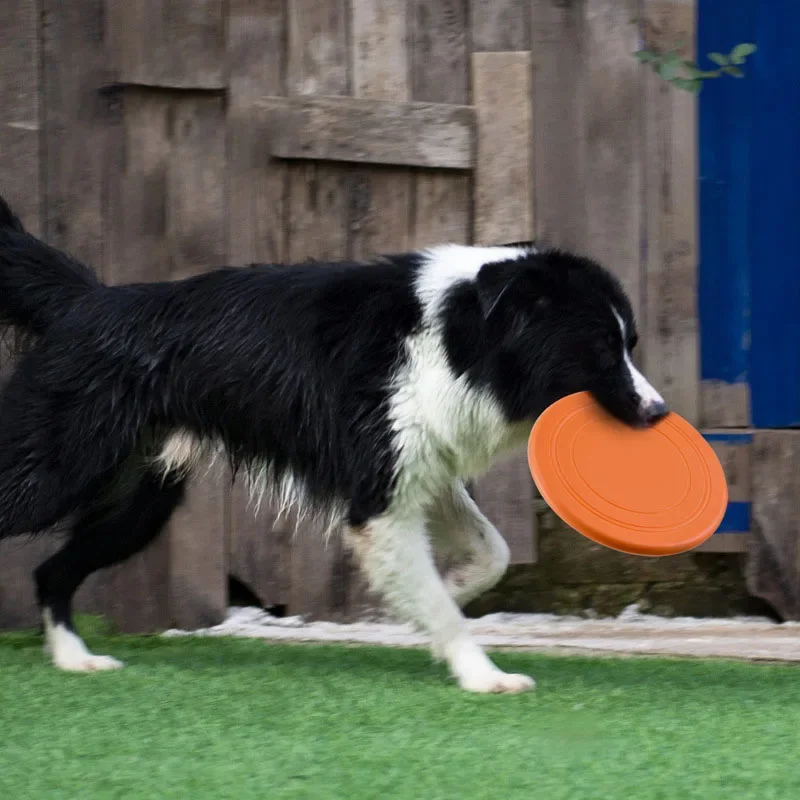 /05/2019 volants en silicone à - Flying Disc Dog Training Toy avis et prix