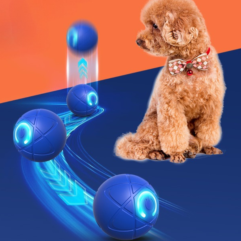 Balle intelligente pour chien, - Automatic Moving Dog Ball avis et prix