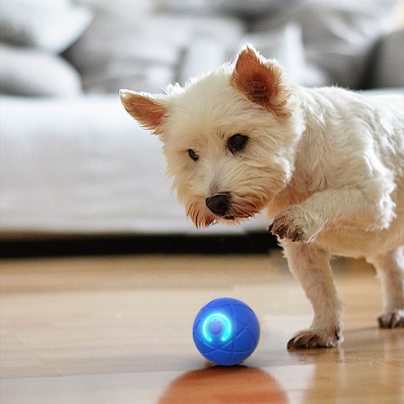 Balle intelligente pour chien, - Automatic Moving Dog Ball avis et prix
