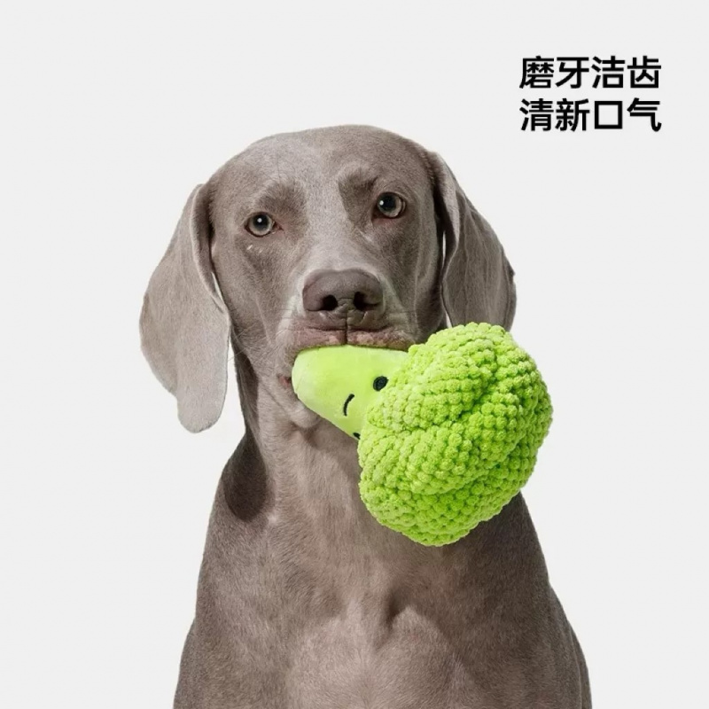 Jouet sonore pour chien pour l - Interactive Squeaky Plush Dog Toy avis et prix