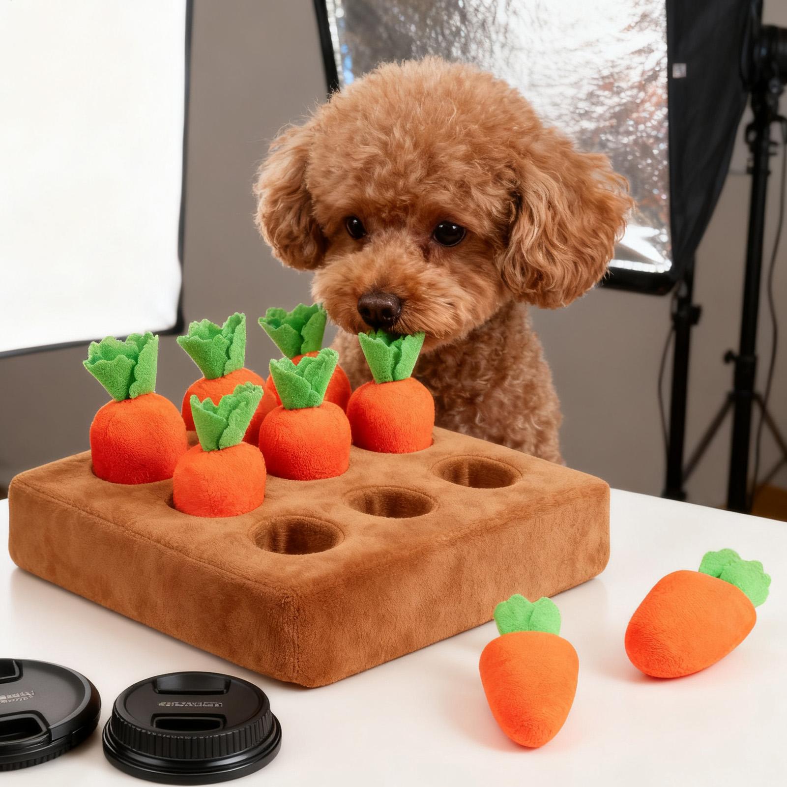 Tapis de reniflement pour chio - Snuffle Mat For Dogs avis et prix