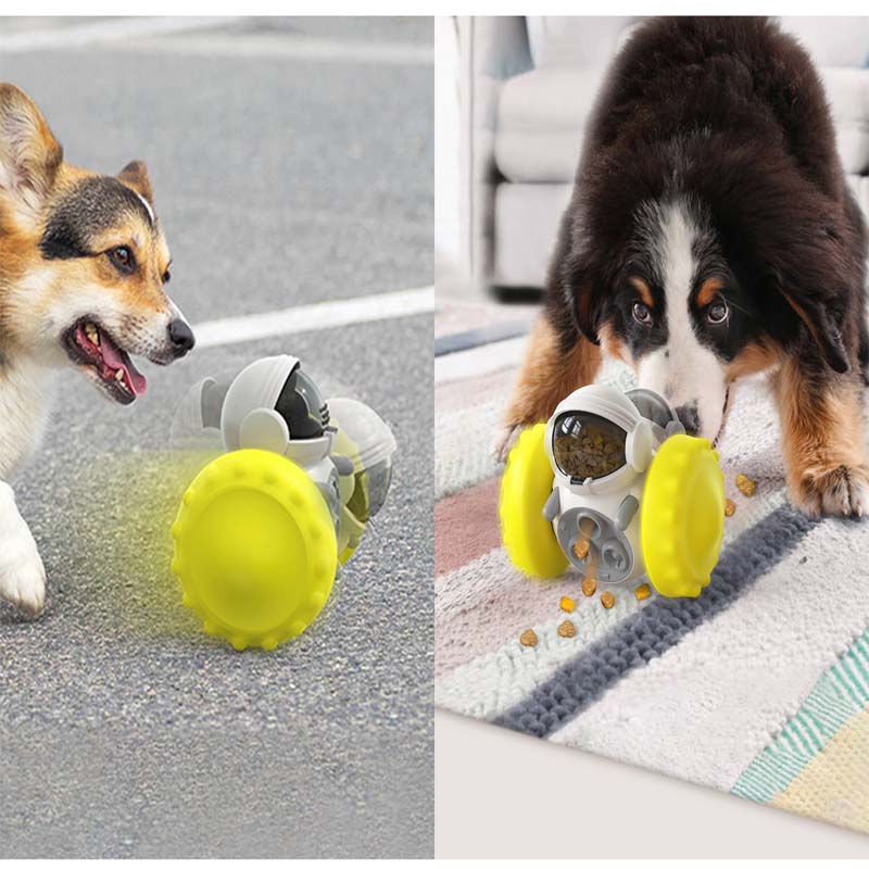 Nouveau jouet interactif pour  - Dog Puzzle Feeder Toy avis et prix