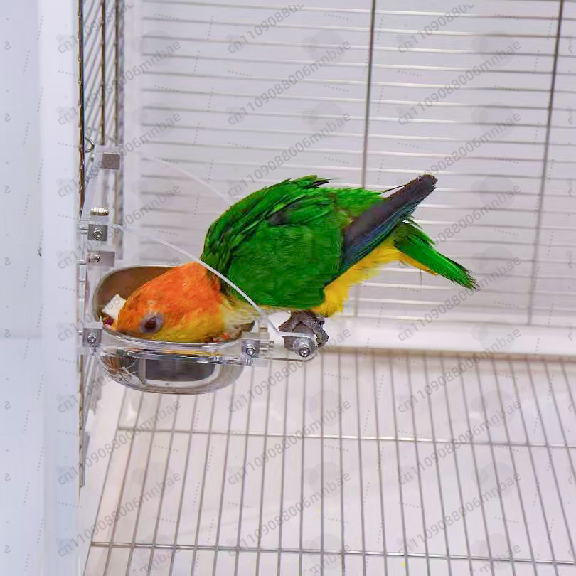 Boîte à nourriture pour perroq - Pet Feeders avis et prix