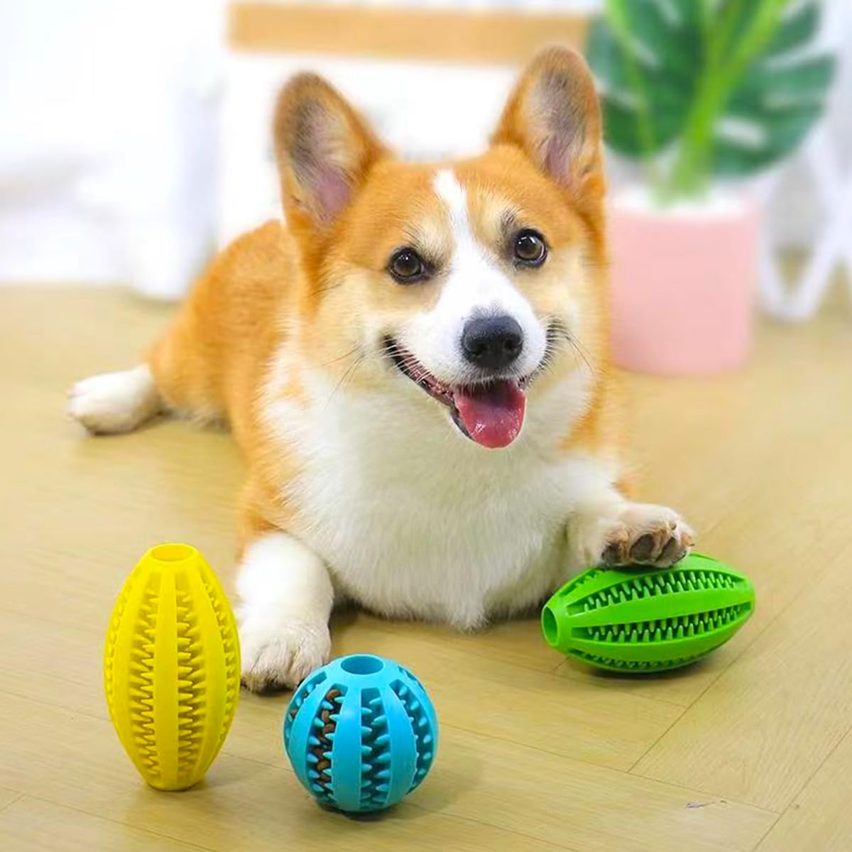 Jouets à mâcher pour chien, ne - Indestructible Dog Chew Toy avis et prix