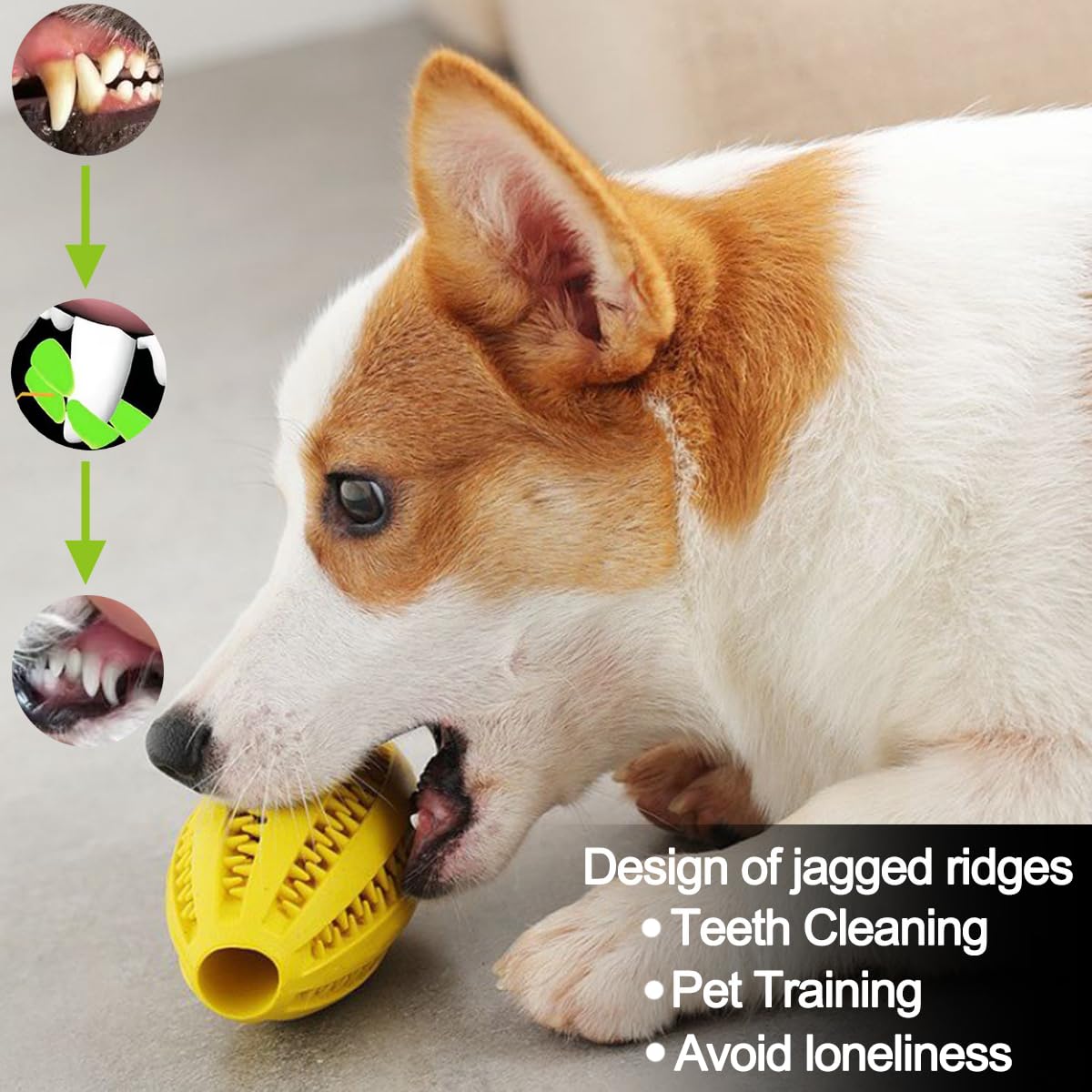 Jouets à mâcher pour chien, ne - Indestructible Dog Chew Toy avis et prix