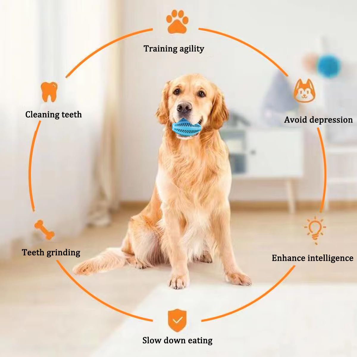 Jouets à mâcher pour chien, ne - Indestructible Dog Chew Toy avis et prix