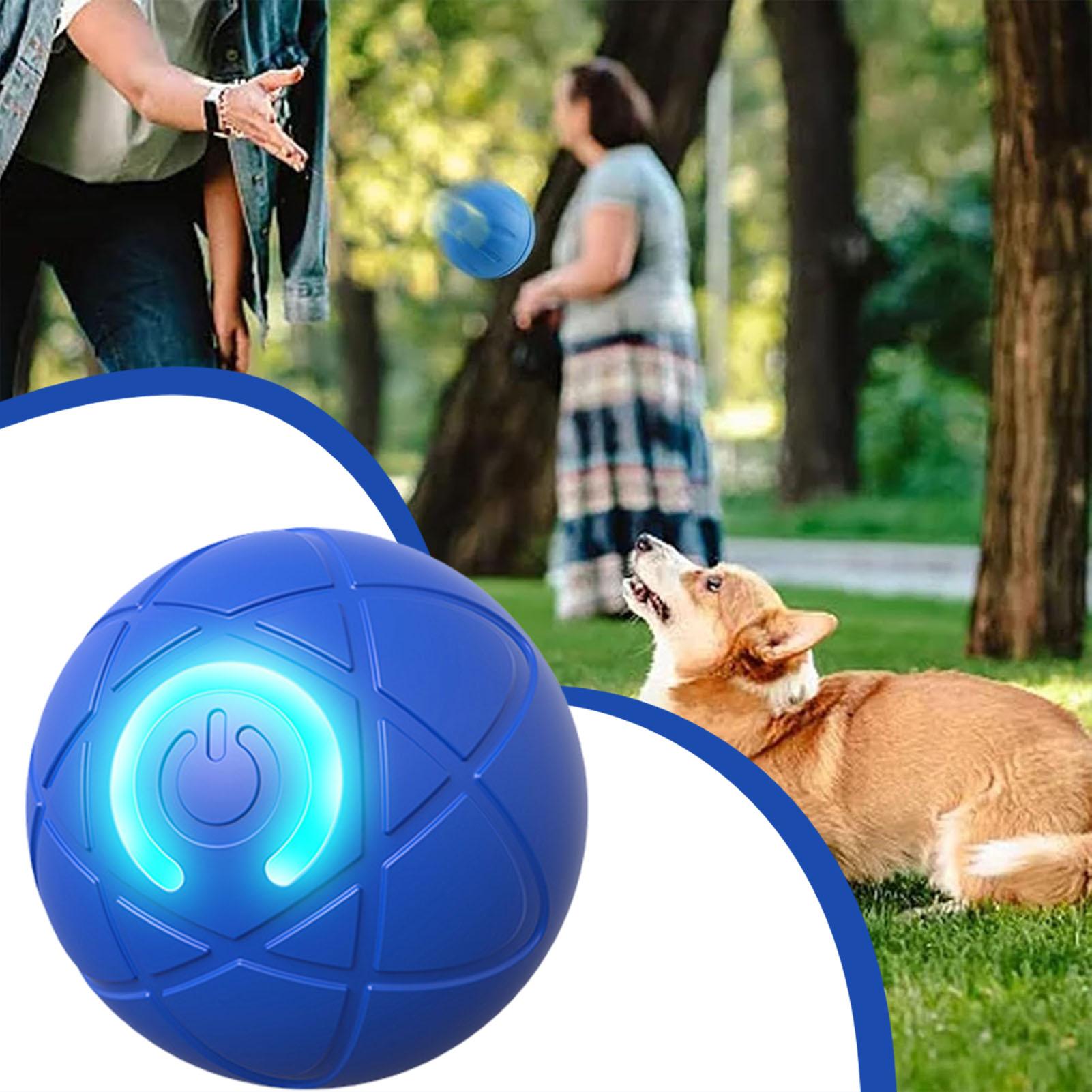Jouets intelligents pour chien - Automatic Moving Dog Ball avis et prix