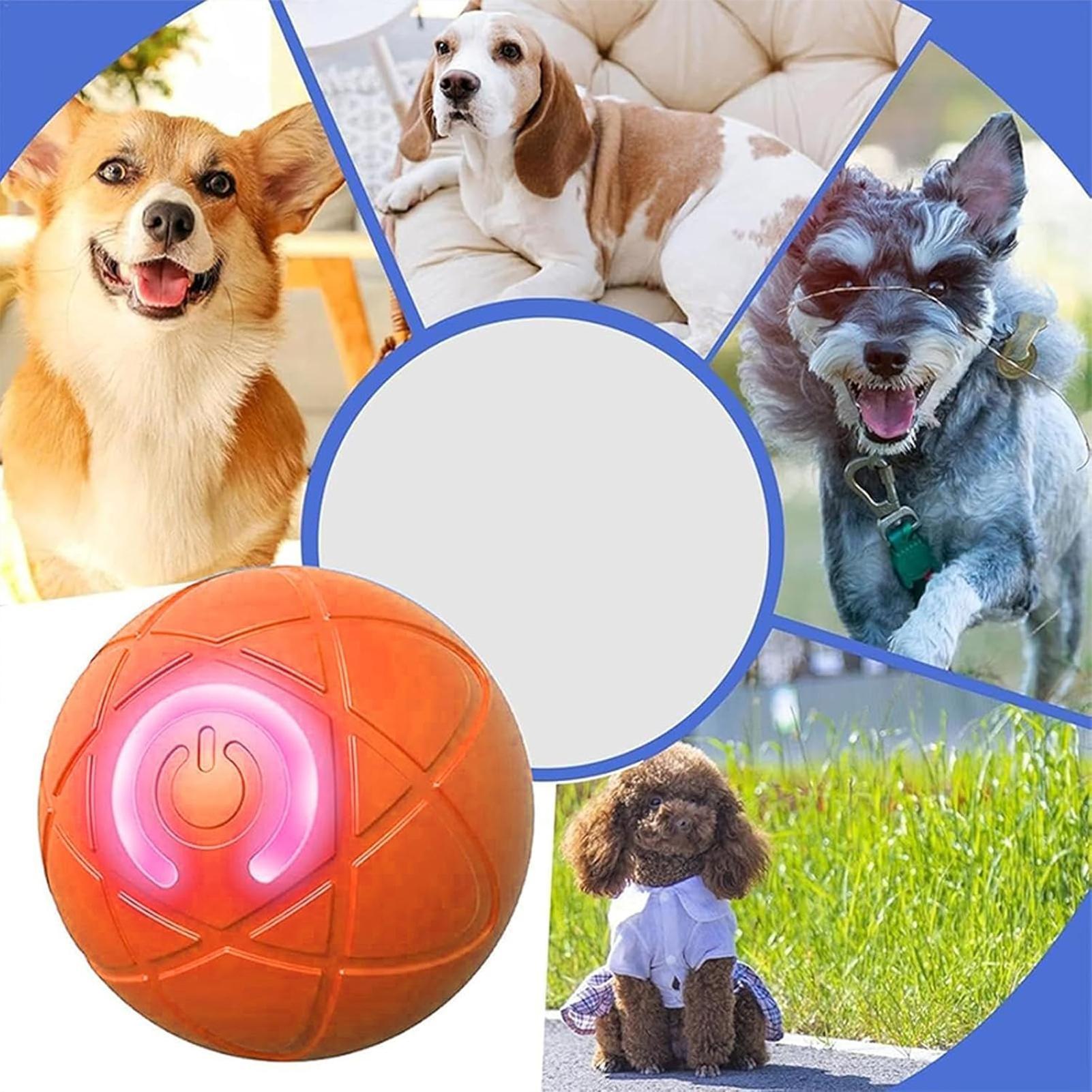 Jouets intelligents pour chien - Automatic Moving Dog Ball avis et prix