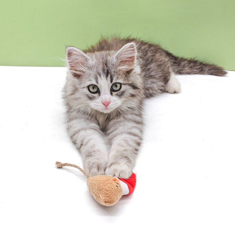 Jouet à mâcher pour chat, 5 pi - Catnip Interactive Plush Mouse avis et prix