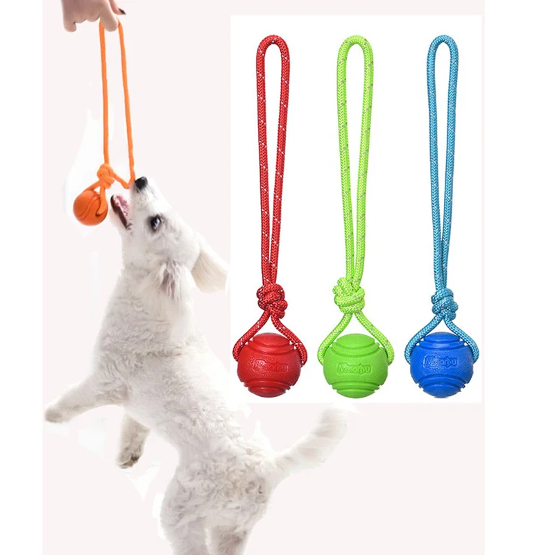 Balle d'Entraînement pour Chie - Suction Cup Dog Tug Toy avis et prix