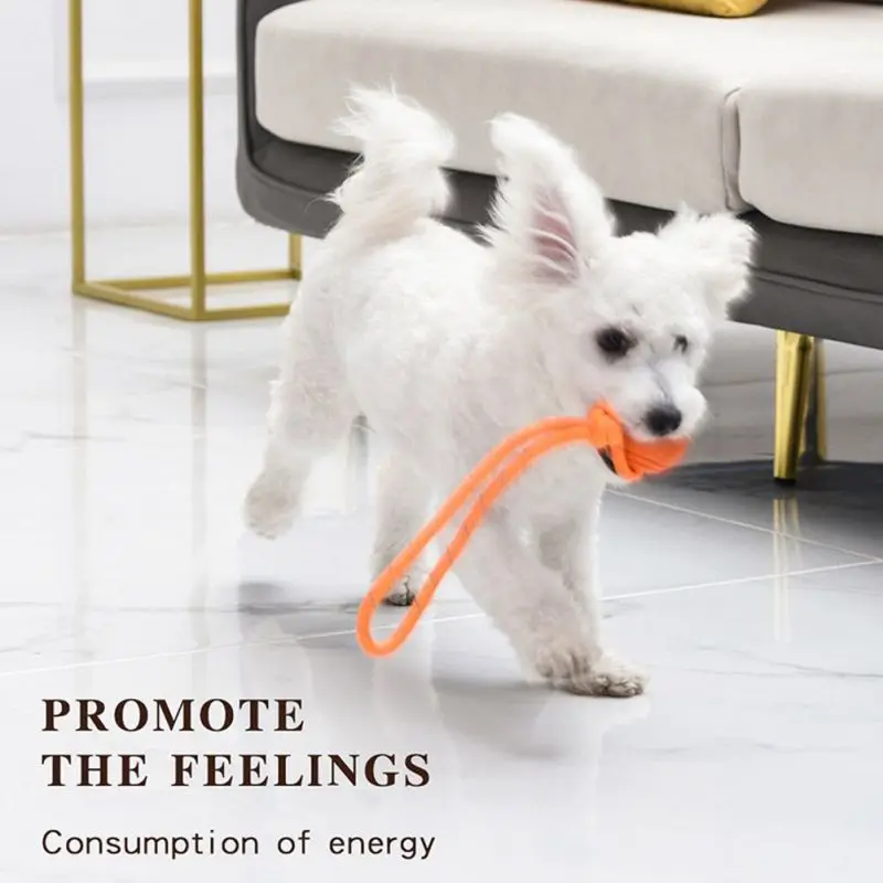 Balle d'Entraînement pour Chie - Suction Cup Dog Tug Toy avis et prix