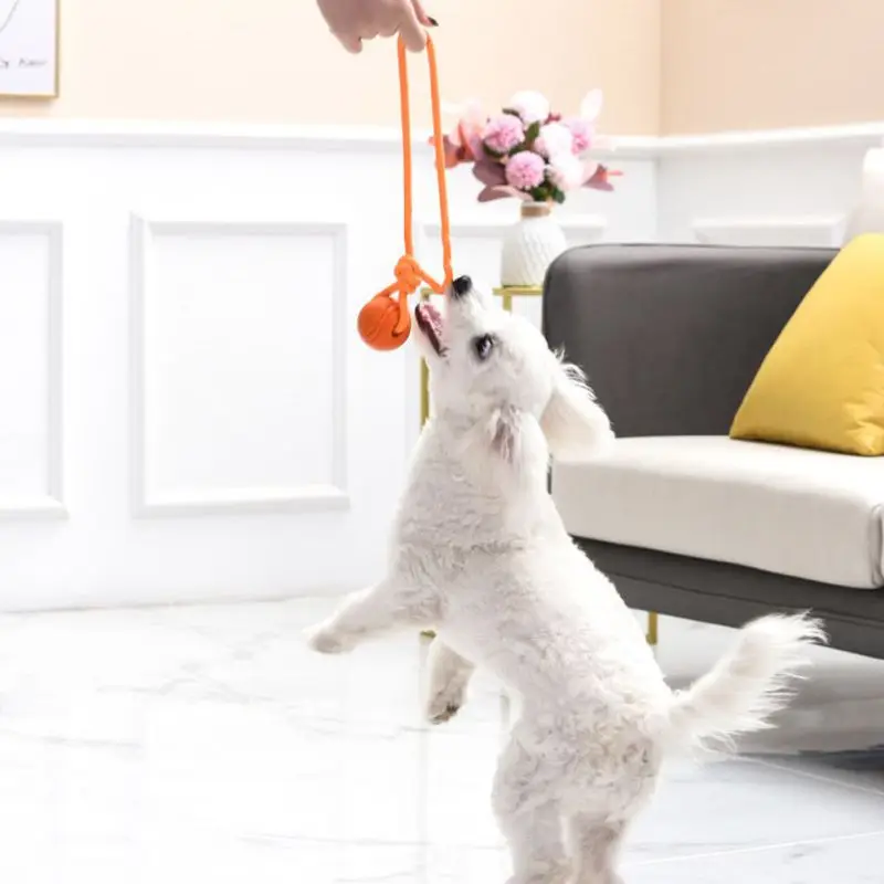 Balle d'Entraînement pour Chie - Suction Cup Dog Tug Toy avis et prix