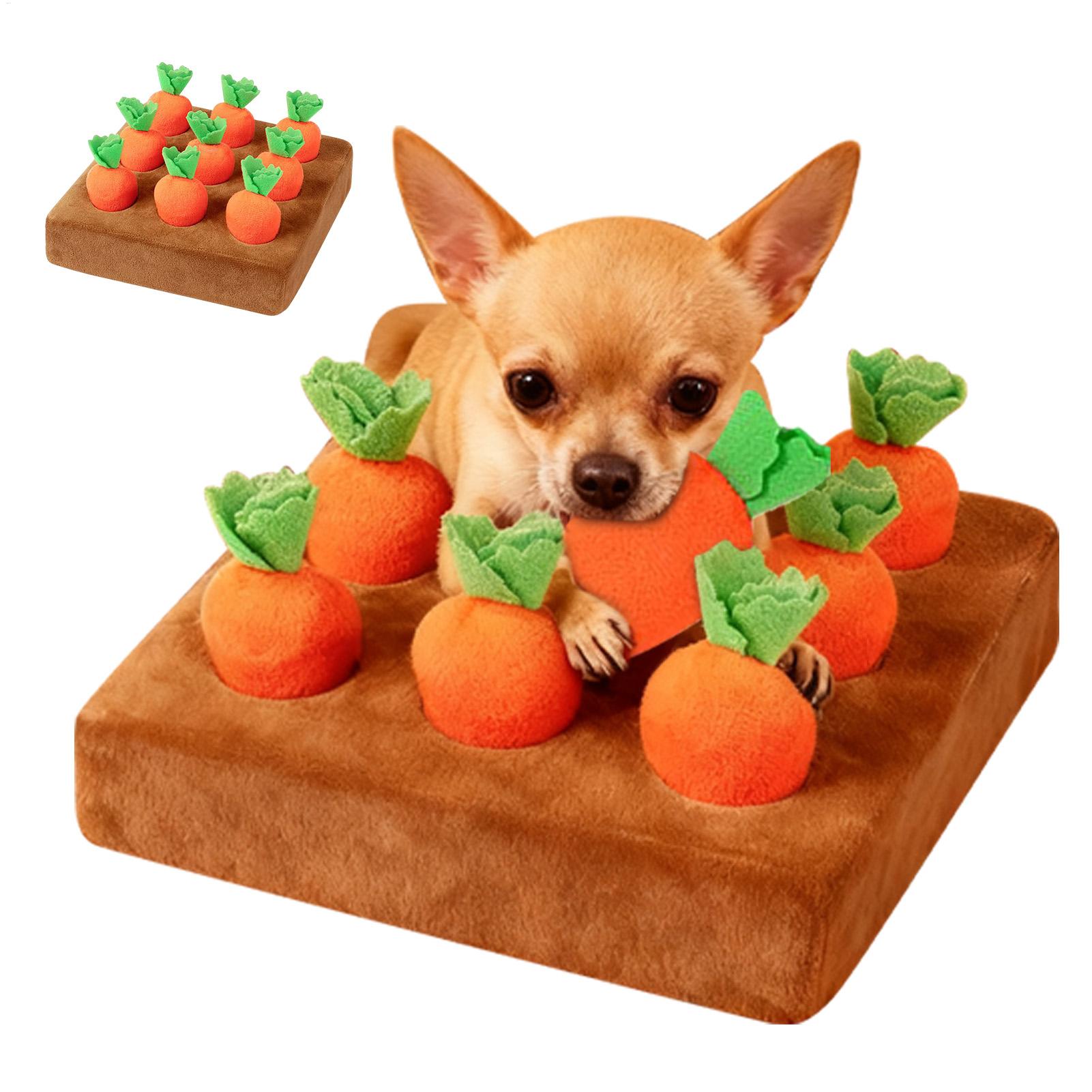 Jouets interactifs en forme de - Snuffle Mat For Dogs avis et prix