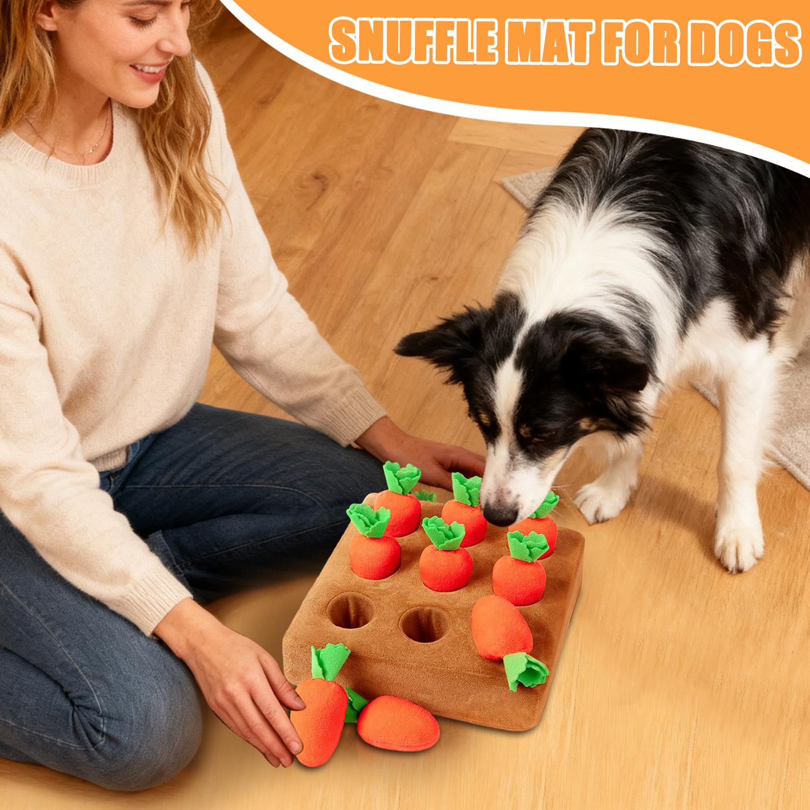 Jouets interactifs en forme de - Snuffle Mat For Dogs avis et prix