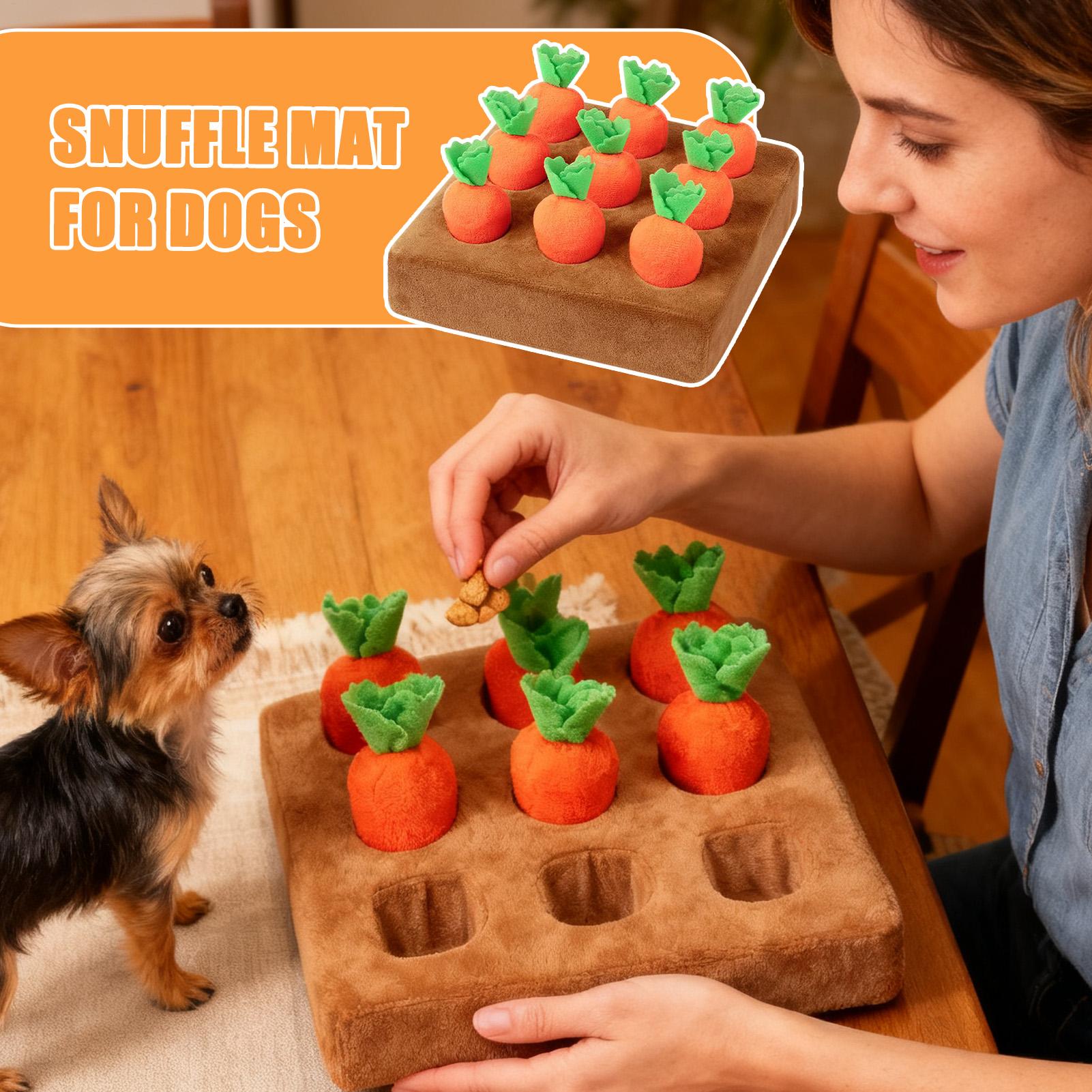 Jouets interactifs en forme de - Snuffle Mat For Dogs avis et prix