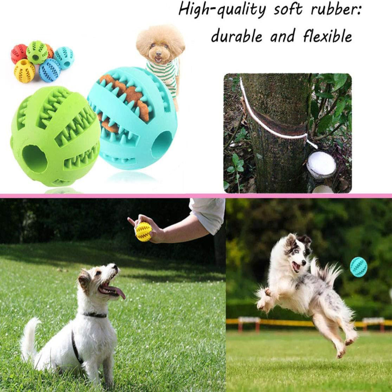 Balle interactive non toxique  - Dog Puzzle Feeder Toy avis et prix