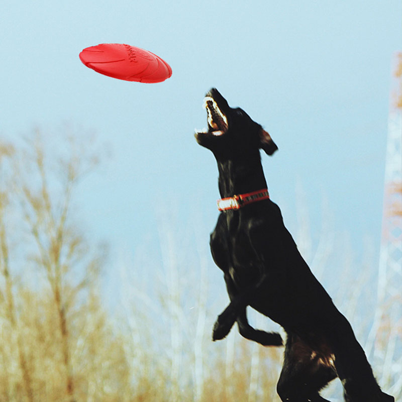 Disques volants en caoutchouc  - Flying Disc Dog Training Toy avis et prix