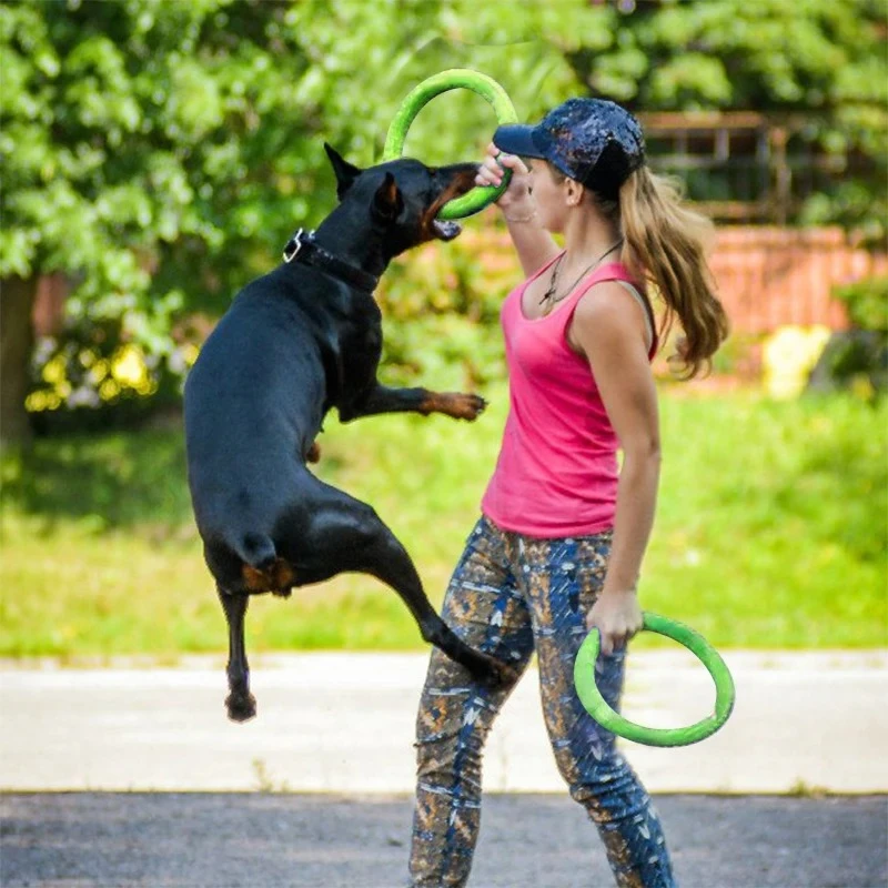 Jouets pour chiens : Disques v - Flying Disc Dog Training Toy avis et prix