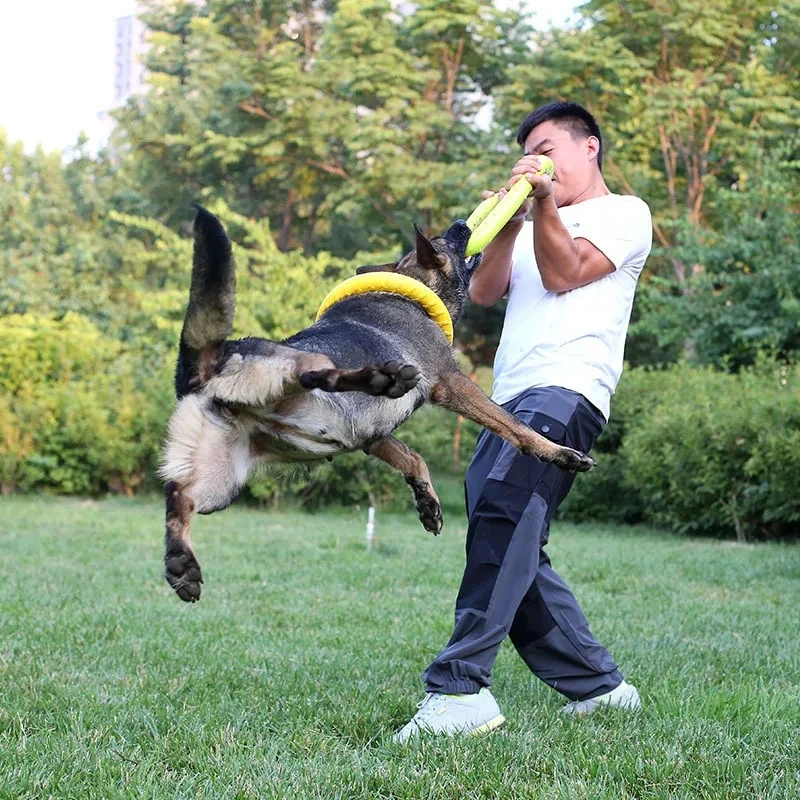 Jouets pour chiens : Disques v - Flying Disc Dog Training Toy avis et prix