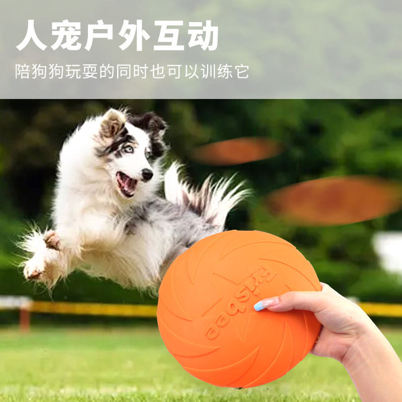 Jouets pour animaux de compagn - Flying Disc Dog Training Toy avis et prix