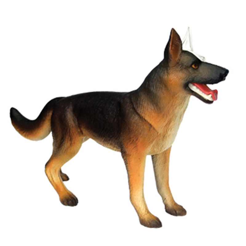 Modèle d'anatomie des organes  - Dog Toys avis et prix