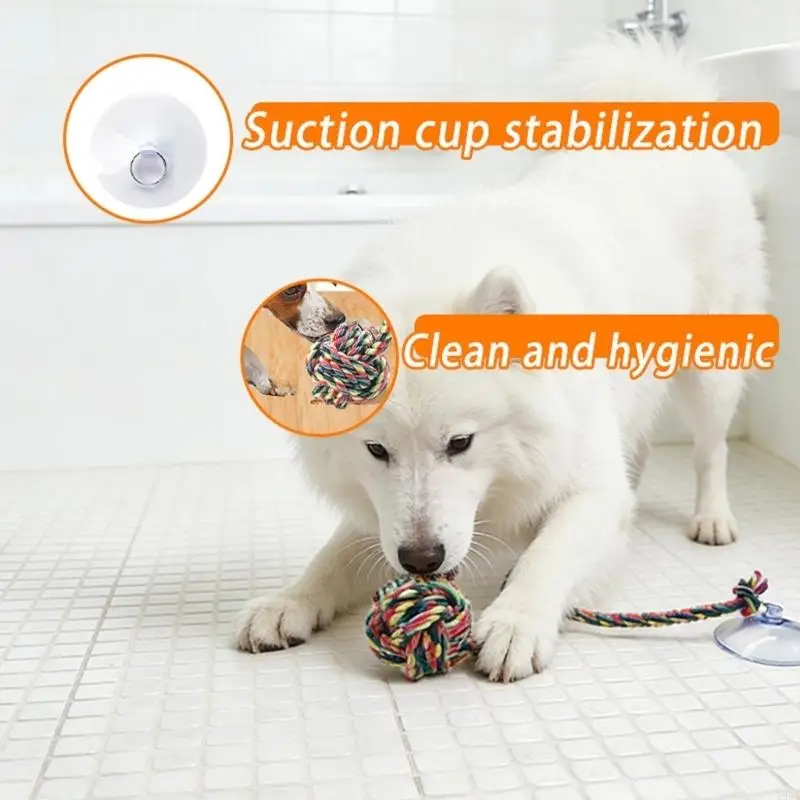 Jouet à mâcher amusant sûr pou - Suction Cup Dog Tug Toy avis et prix