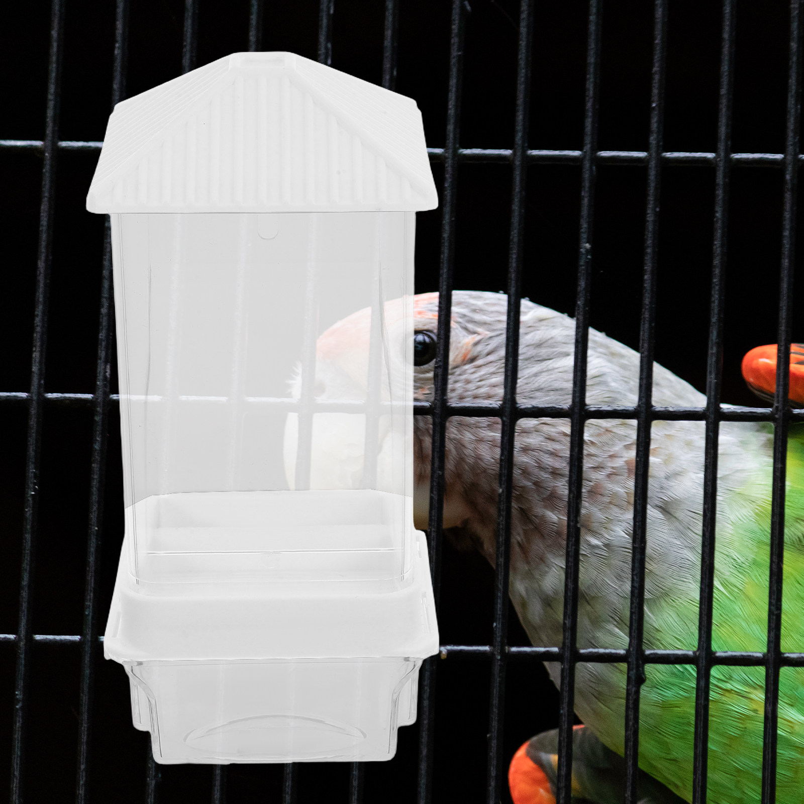 Mangeoire automatique pour ois - Pet Feeders avis et prix