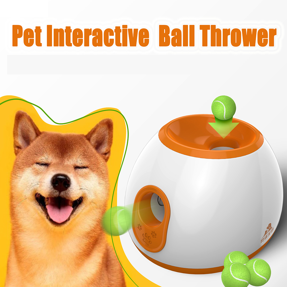 Distributeur automatique de ba - Suction Cup Dog Tug Toy avis et prix