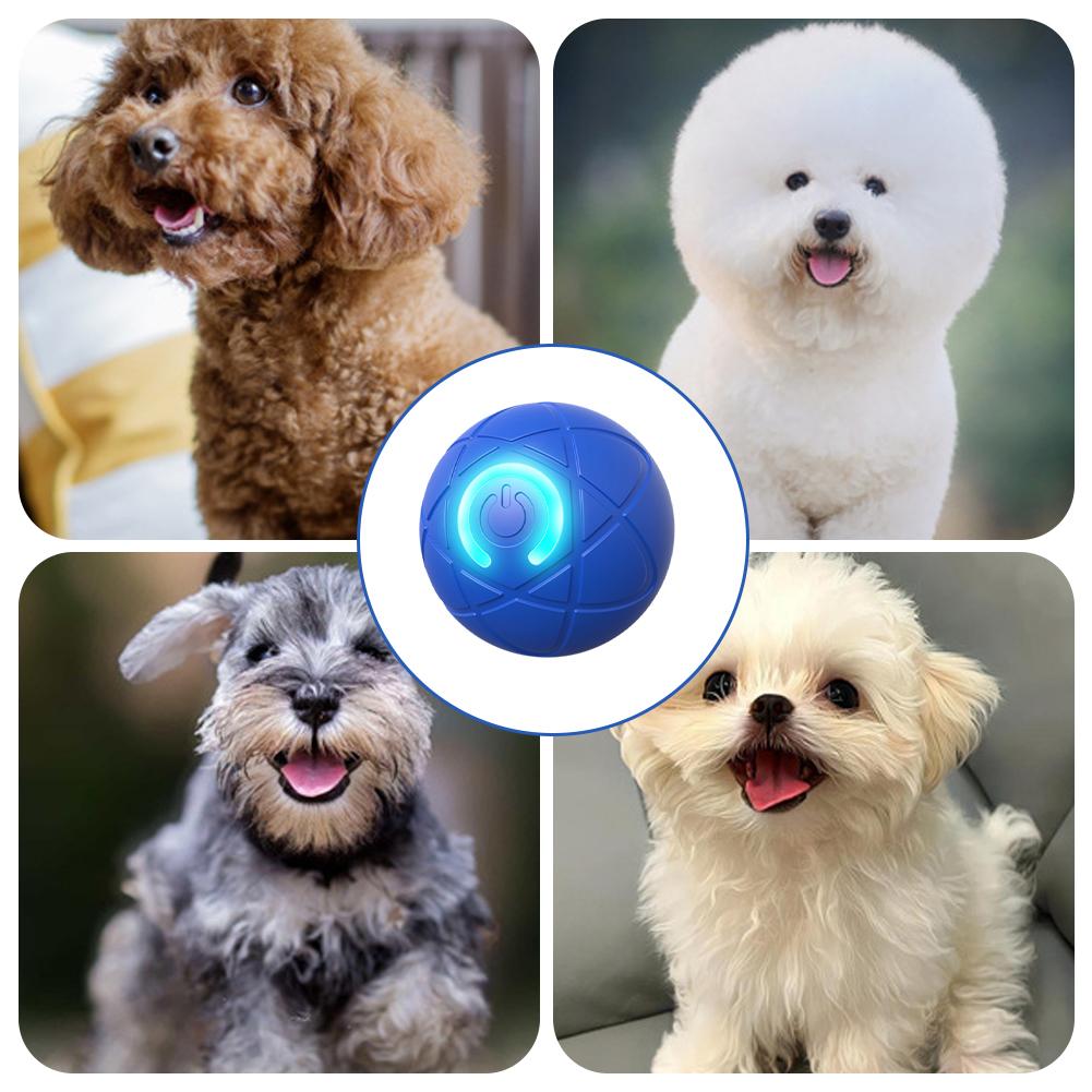 Jouet électronique interactif  - Automatic Moving Dog Ball avis et prix