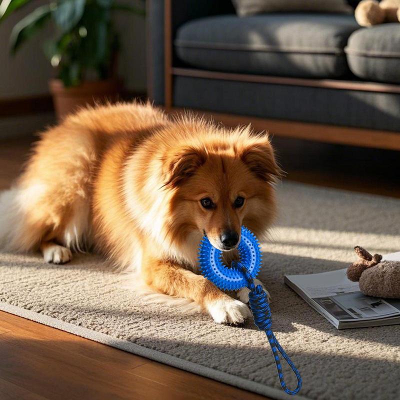 Jouets grinçants pour chiens,  - Dog Rope Toy Aggressive Chewers avis et prix