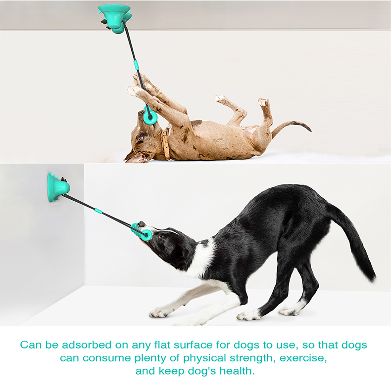 Jouet à mâcher pour chien avec - Dog Rope Toy Aggressive Chewers avis et prix