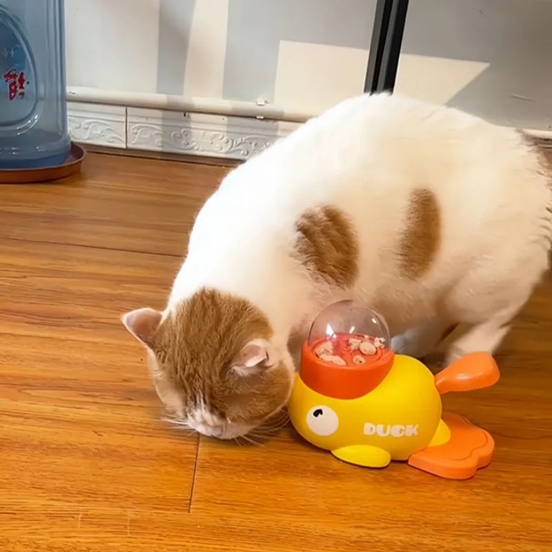Distributeur interactif de fri - Dog Puzzle Feeder Toy avis et prix