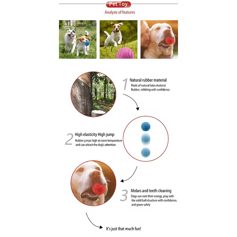 Balle rebondissante en caoutch - Indestructible Dog Chew Toy avis et prix