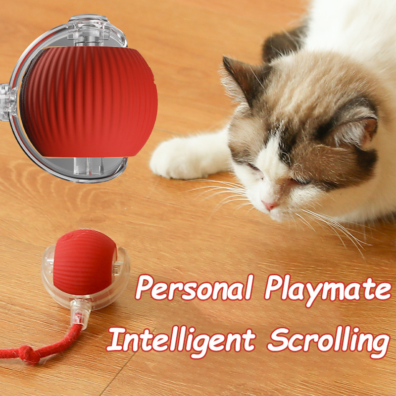 Nouveau jouet interactif pour  - Automatic Moving Dog Ball avis et prix