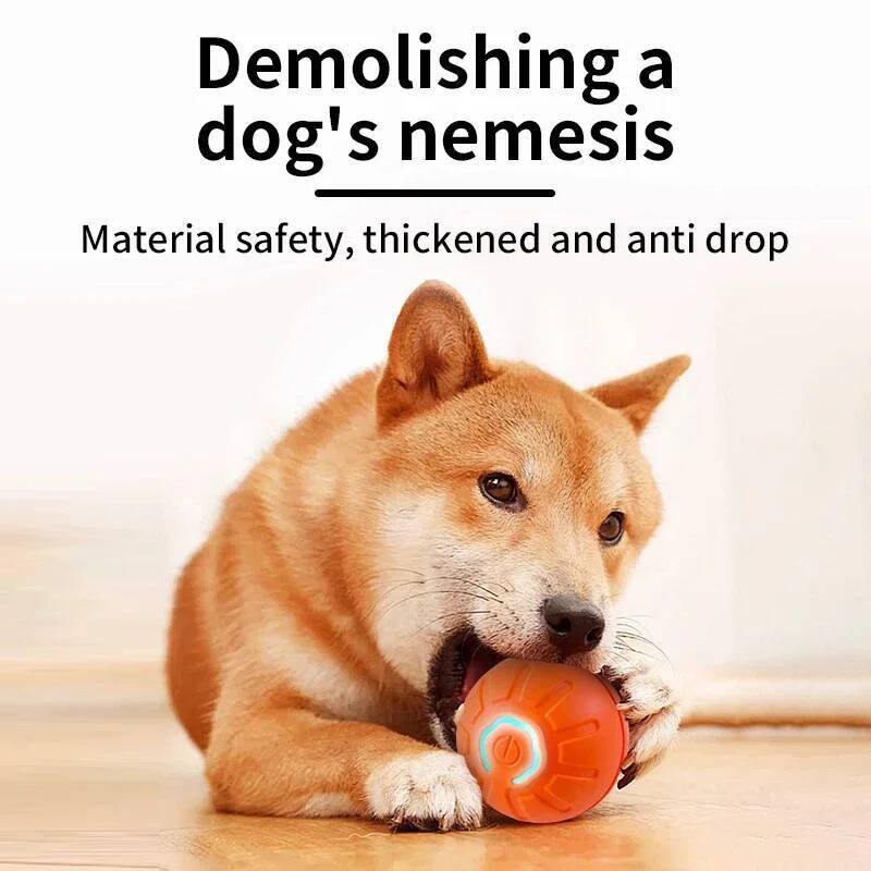 Balle de jeu intelligente pour - Automatic Moving Dog Ball avis et prix