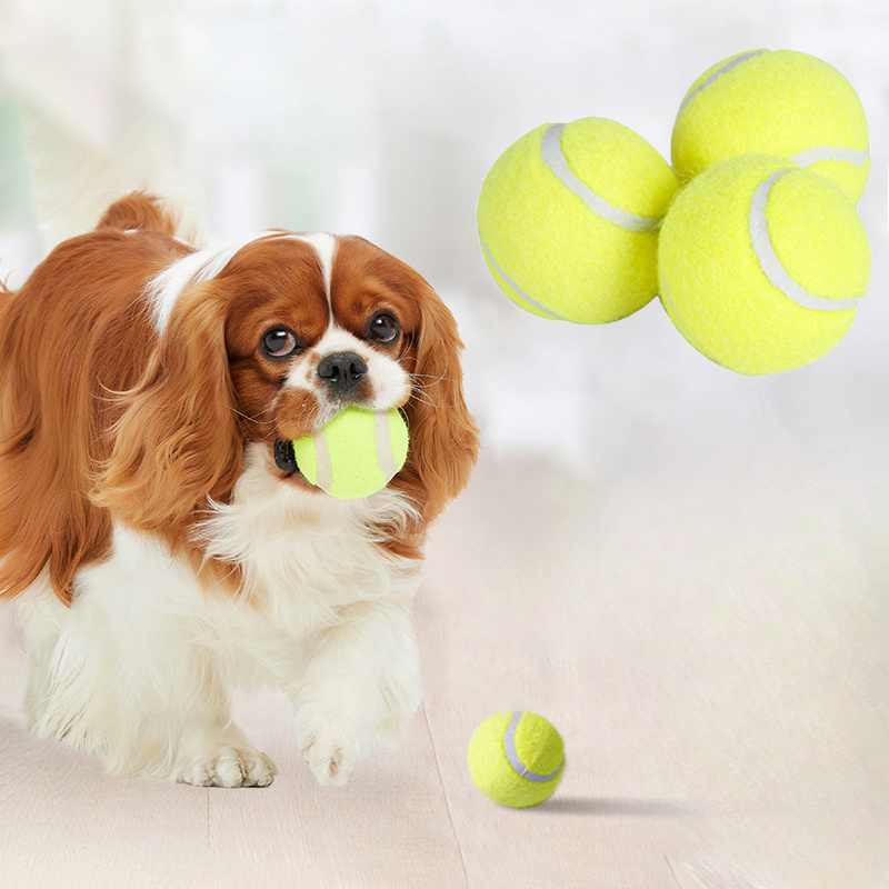 Jouet à mâcher pour chien en c - Interactive Squeaky Plush Dog Toy avis et prix